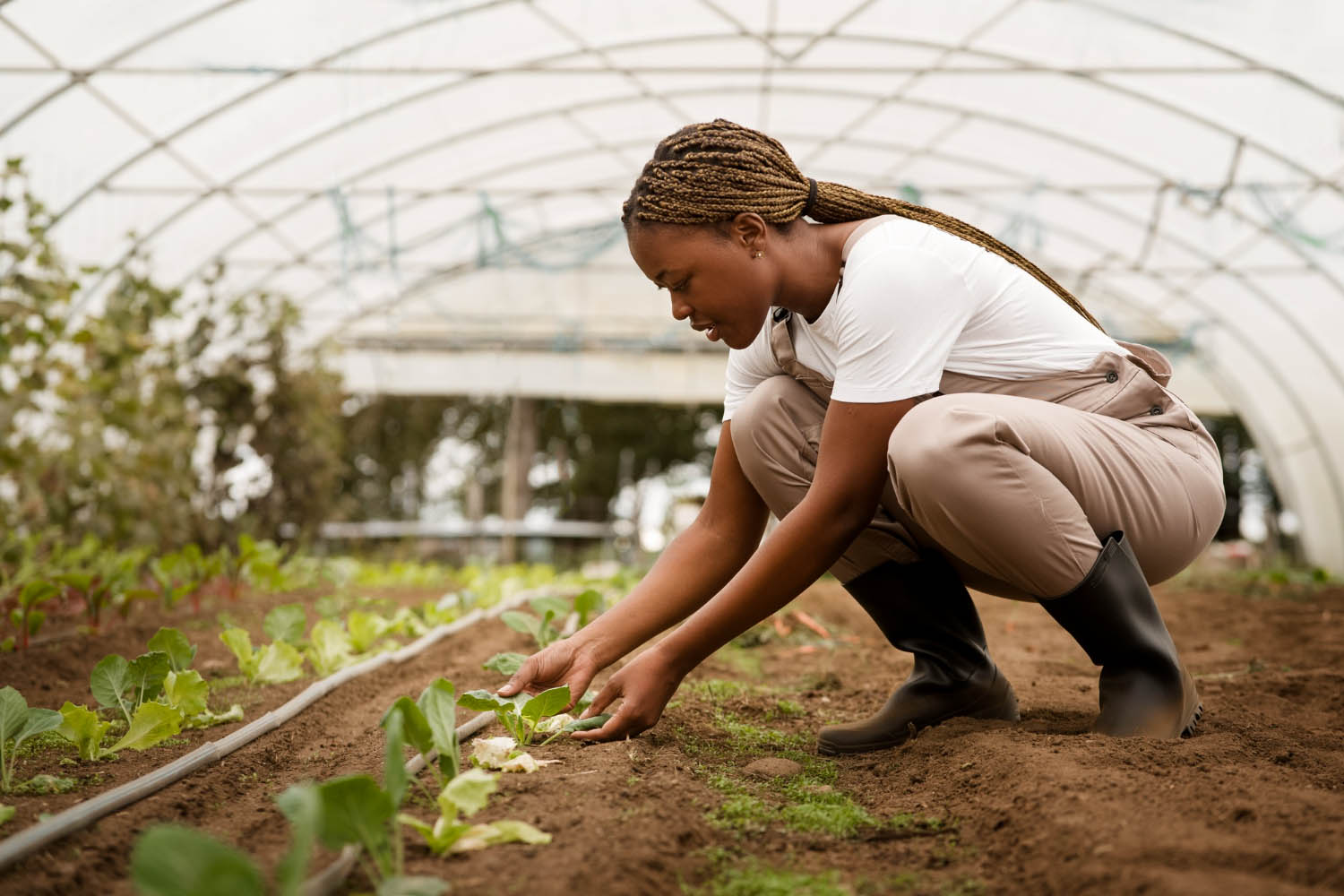 Green House in south Sudan