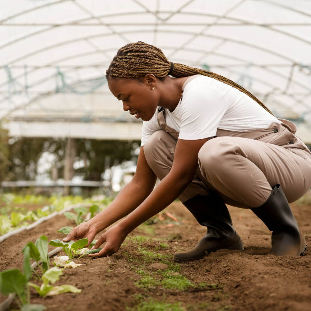 Green House services in South Sudan